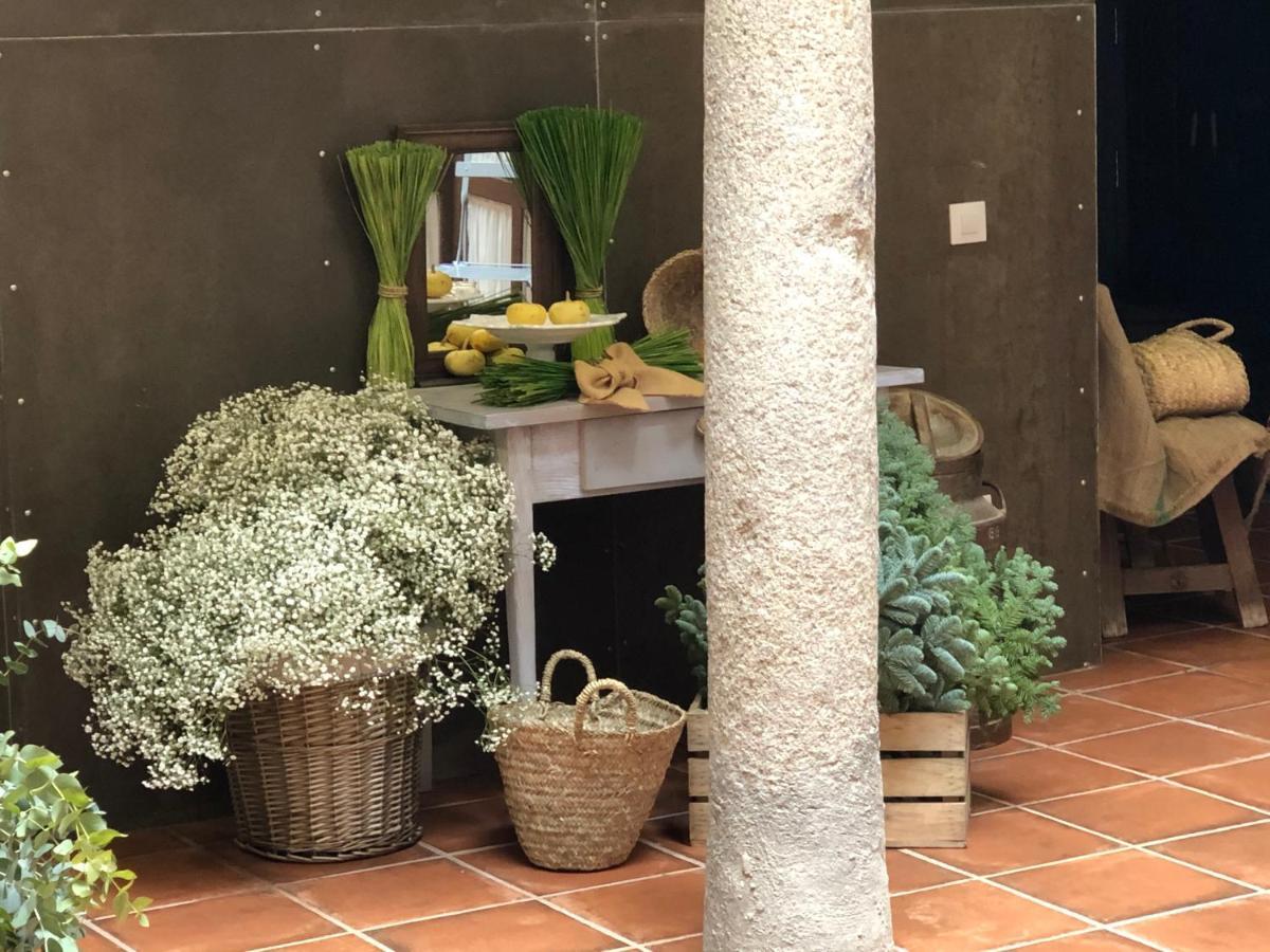La Casita De Candela Tolède Extérieur photo